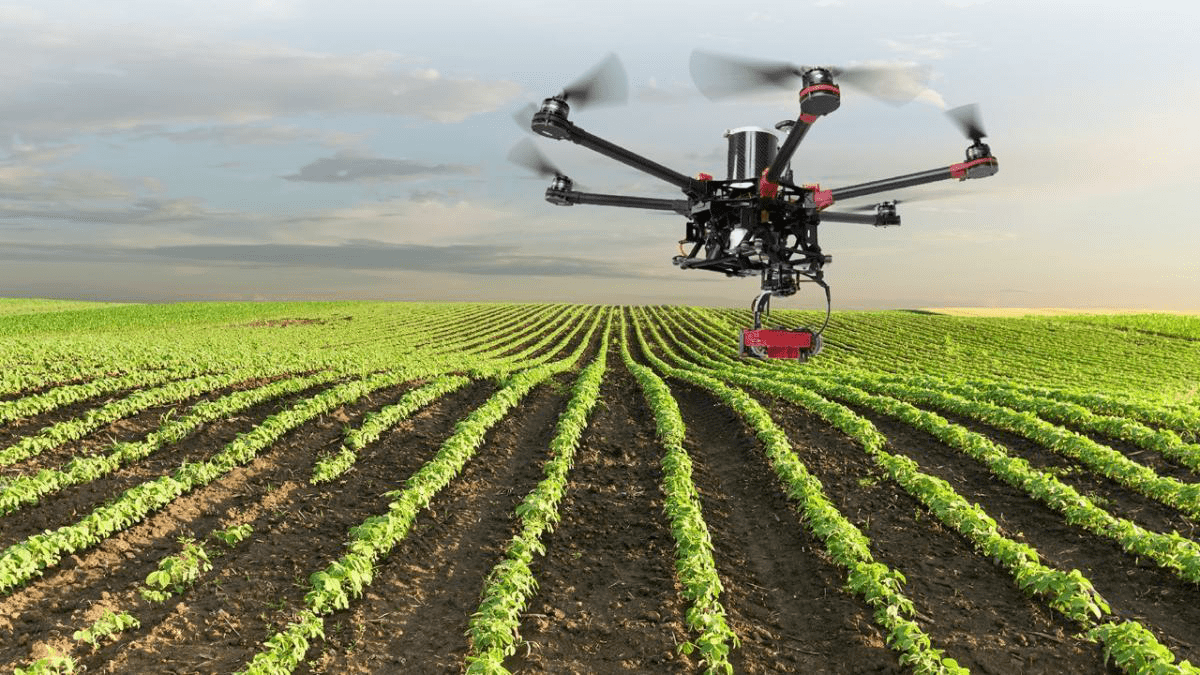 campo agrícola con dron